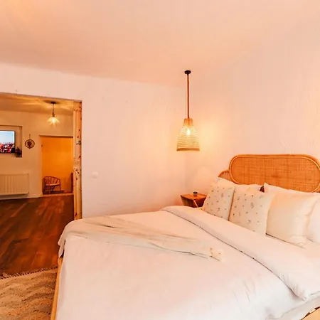 Blue Nest Old Town Braşov