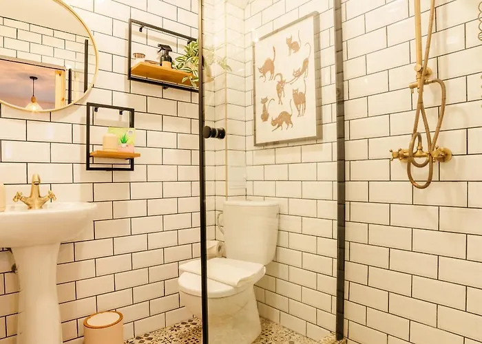 Blue Nest Old Town Apartment Brasov